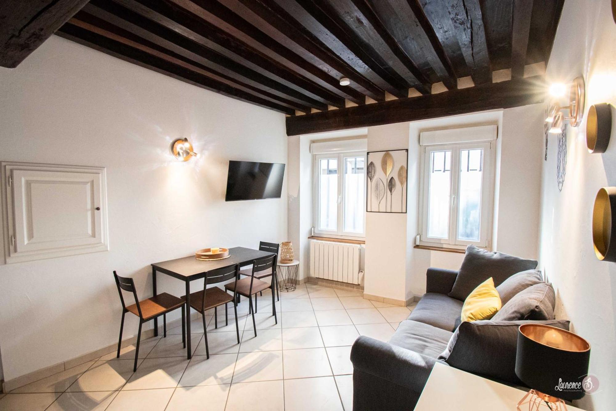 Residence Le Zola Compose De 3 Appartements Distincts En Hyper Centre De Dijon Avec Wifi Exterior foto