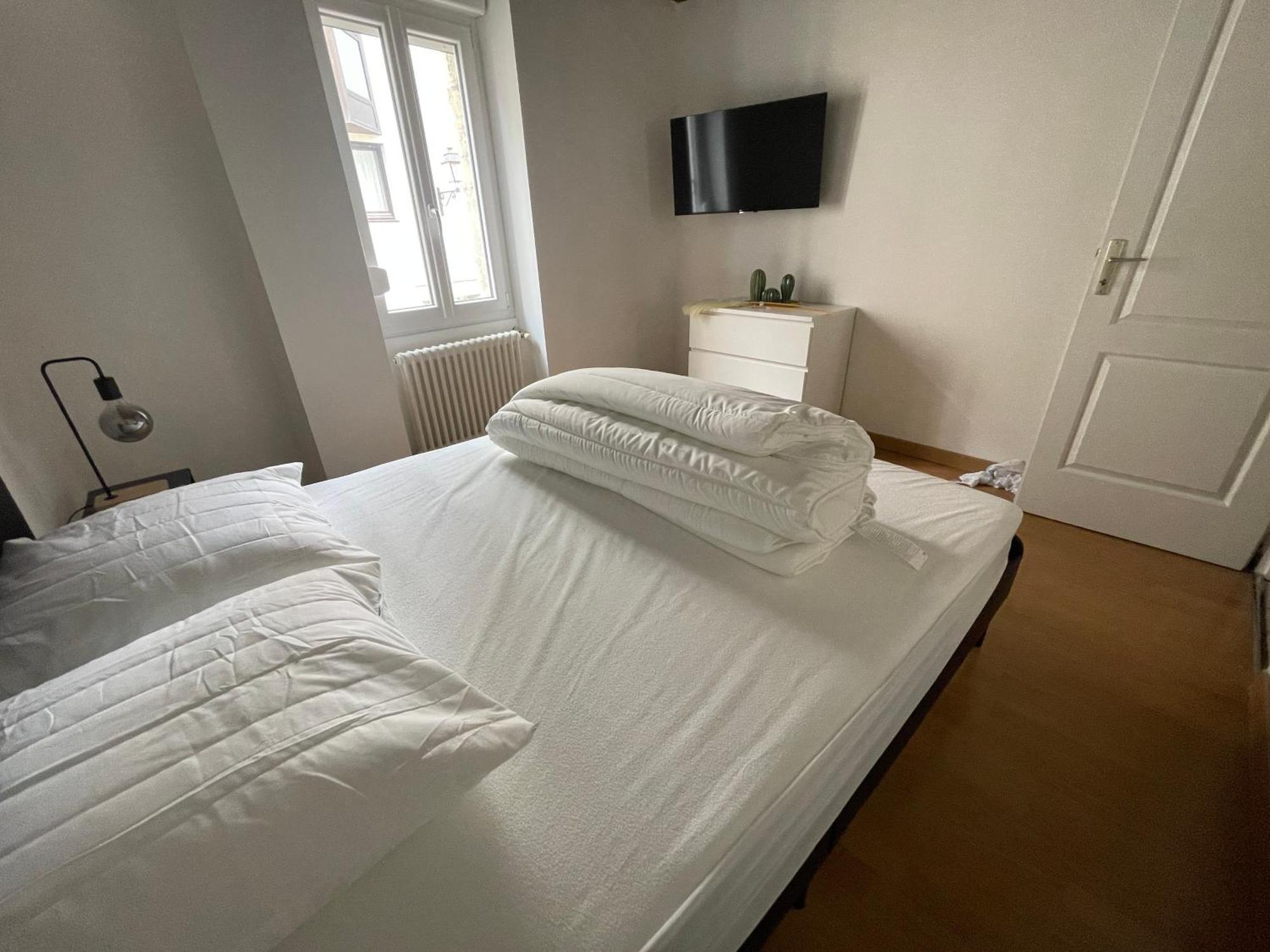 Residence Le Zola Compose De 3 Appartements Distincts En Hyper Centre De Dijon Avec Wifi Exterior foto
